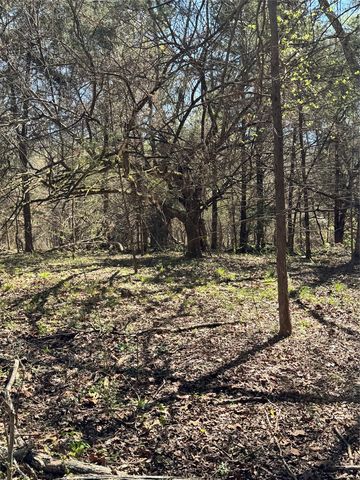 9999 County Road 415, Tyler, TX 75704