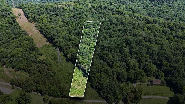 Allison Hollow Ln, Carthage, TN 37030