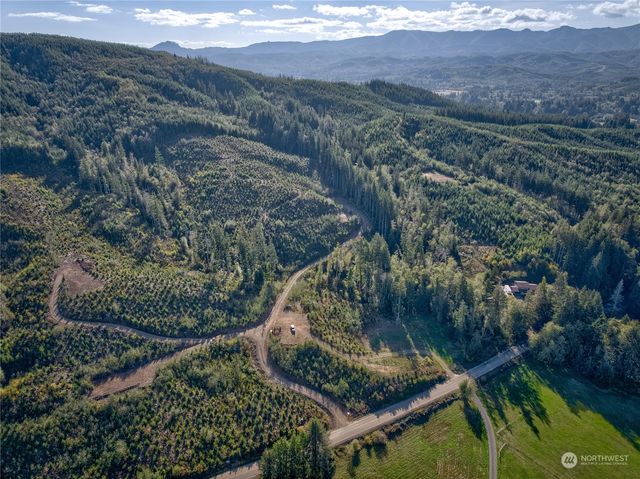 0 Tract 1 South Valley Rd, Naselle, WA 98638