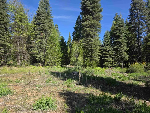 Lot 71 Old Mill Dr, McCloud, CA 96057