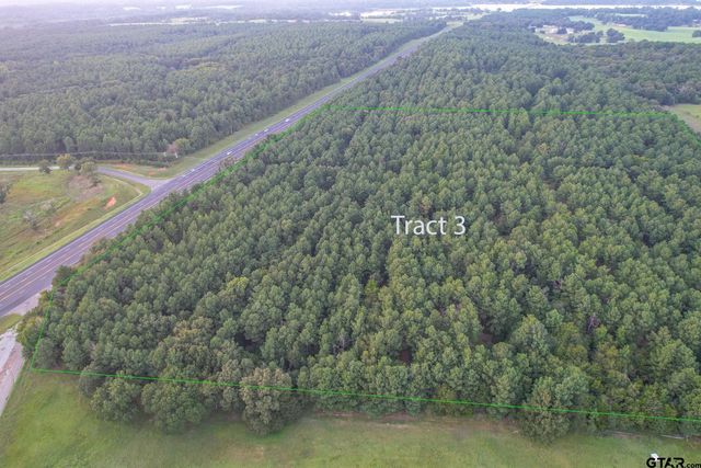 Tract 3 State Highway 155, Frankston, TX 75763