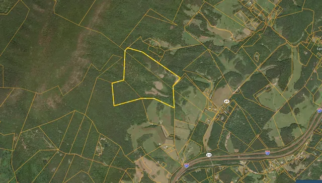 305 County Line Rd, Natural Bridge, VA 24578