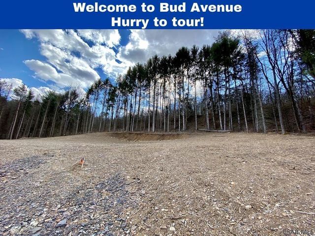 Bud Ave, Windber, PA 15963