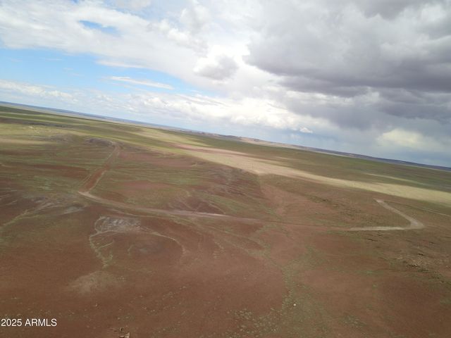 TBD 45 Acres at Carrizo Ranch -- #409, Saint Johns, AZ 85936