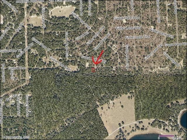 Guava Pass #1, Weirsdale, FL 32195