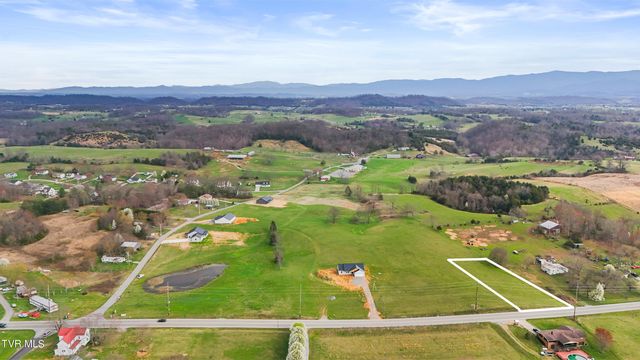 Lot 1 Snapps Ferry Rd   #1, Afton, TN 37616