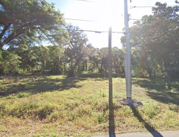 19500 Old Trilby Rd, Dade City, FL 33523