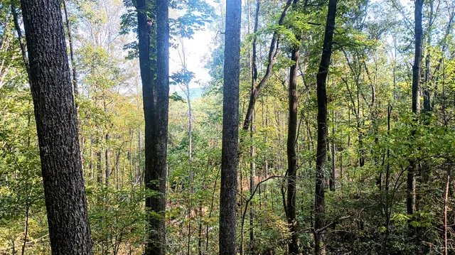15 Deer Run Ln, Shipman, VA 22971