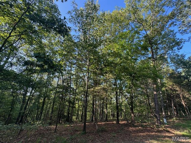 160 Steeple Point Dr #9, Defiance, MO 63341