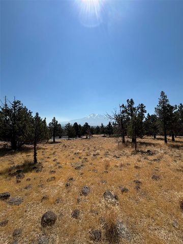 2 Mountain Wood Dr #89, Weed, CA 96094