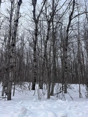 Lot 346 Grove St, Elmira, MI 49730