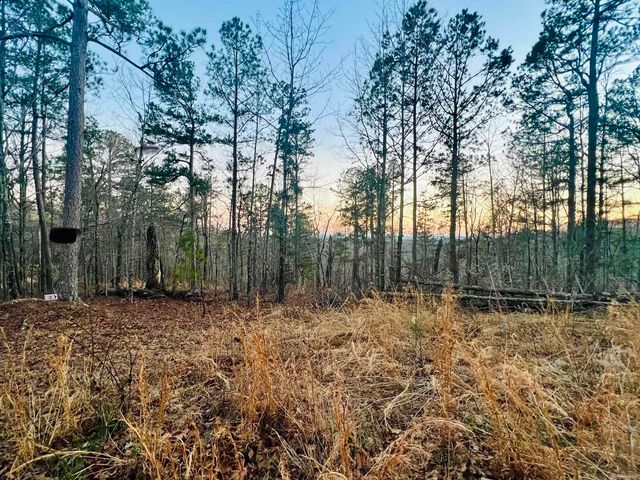 6 Tract Ramblewood Trail T17 #S-32-R15, Yellville, AR 72687