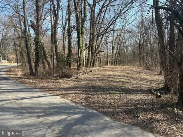 8127 Stacey Rd, Alexandria, VA 22308