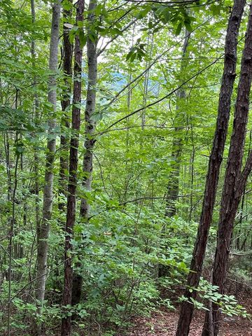 527 Farmers Top Dr #FOUR, Murphy, NC 28906