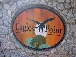 40 Eagle Point Cir, Decaturville, TN 38329