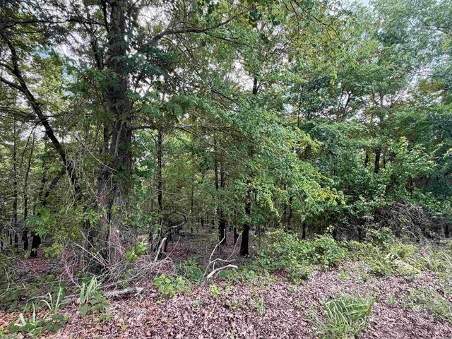 8 Jaguar Way, Hot Springs Village, AR 71909