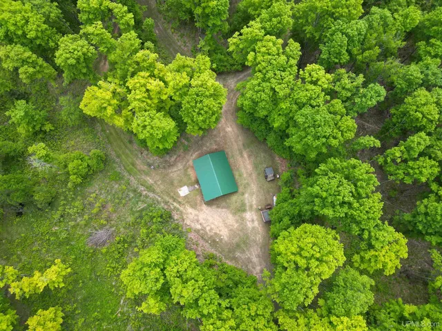 Off Cr Rd #426, Arnold, MI 49819