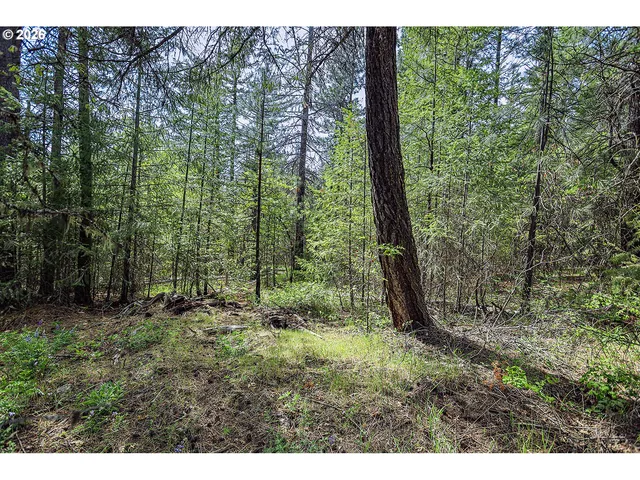 Nka Forest Glen Dr #38, Goldendale, WA 98620
