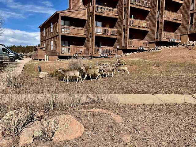 10 Valley Rd #204, Angel Fire, NM 87710