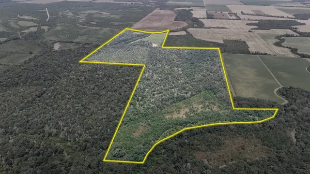 Frank Bell Rd #WP001, Oak Ridge, LA 71264