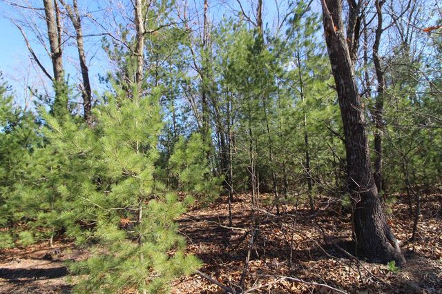 Lot14 Timber Trail Lot 14, Spring Green, WI 53588