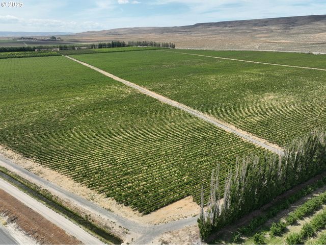 Wahluke Rd SW, Mattawa, WA 99349