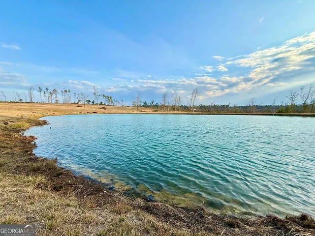79 Hester Rd, Hazlehurst, GA 31539