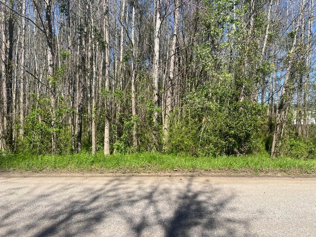 McNair Dr, Summerton, SC 29148
