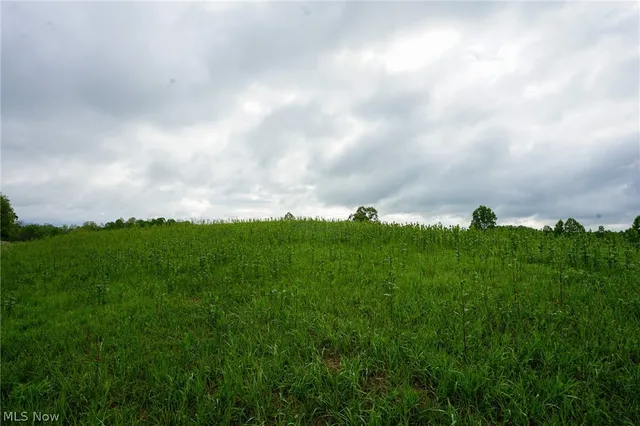Van Fossen Ln, Chesterhill, OH 43728