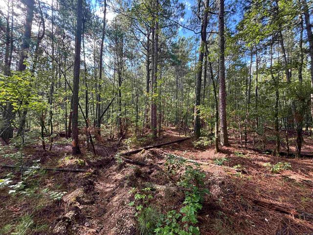 S  Tract Grant County Rd #68, Sheridan, AR 72150