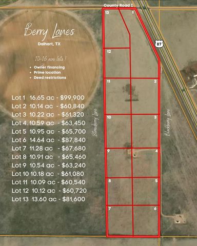 Tracts 1 13 Blackberry & Strawberry Ln, Dalhart, TX 79022