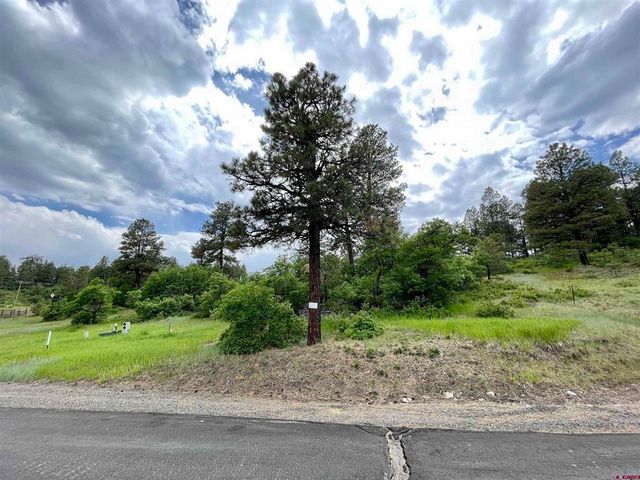 108 Chase Ct, Pagosa Springs, CO 81147
