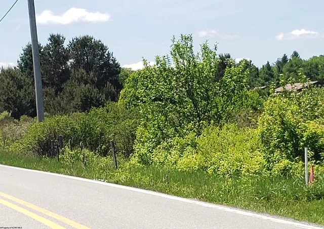 215 Cortland Rd, Davis, WV 26260