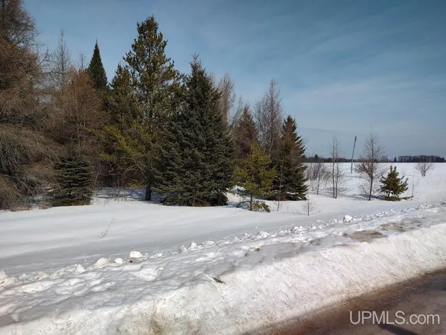 River Rd, Gulliver, MI 49840