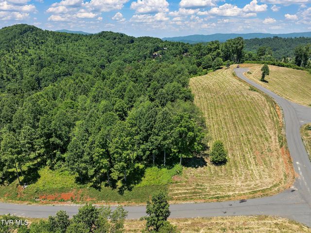 Lot 42 Eagle Ridge Pkwy, Butler, TN 37640