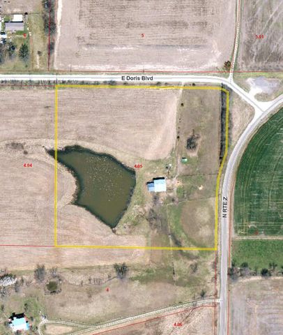 E  Doris Blvd, Centralia, MO 65240