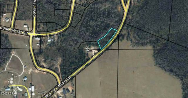 Holley Timber Rd, Cottondale, FL 32431