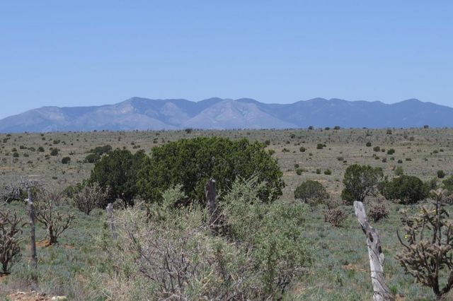 Off Bronco Road East Off Hwy  #55, Mountainair, NM 87036