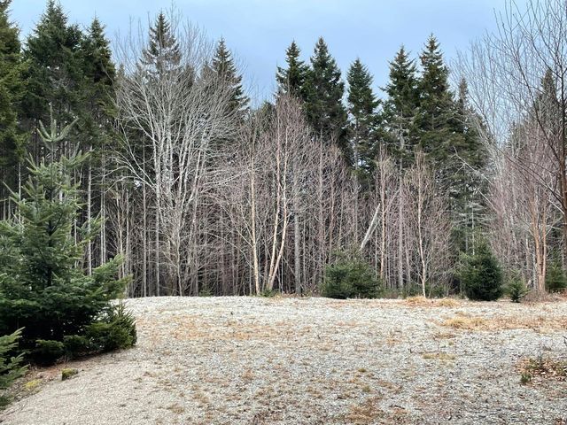 Lot 30 Pineo Road, Machias, ME 04654