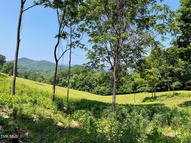 Lake Mist Trl, Butler, TN 37640