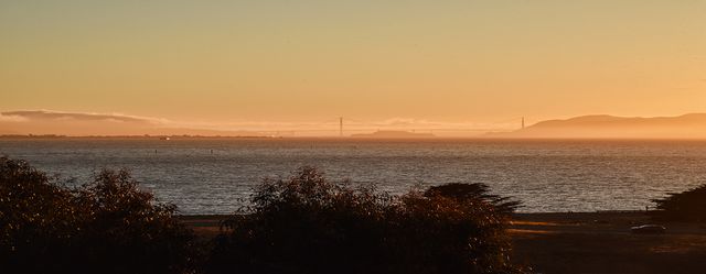 6701 Shellmound St #111, Emeryville, CA 94608
