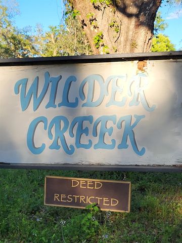 Wilder Creek Dr, Perry, FL 32347