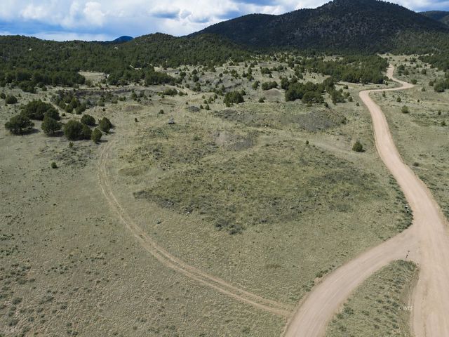 43 Prairie Dog Rd, Cotopaxi, CO 81223
