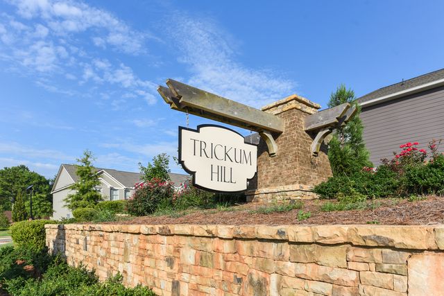 359 Trickum Hill Dr #1462, Lawrenceville, GA 30044