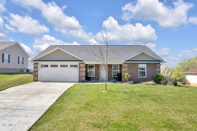 155 Willow Ridge Dr, Chuckey, TN 37641