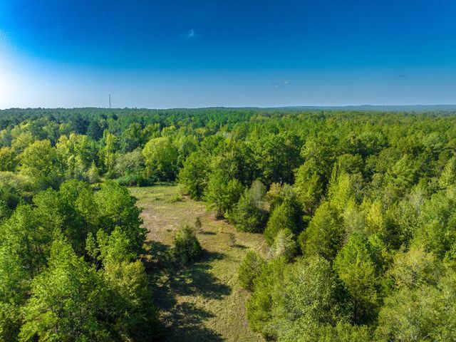 812 County Road 1319, Rusk, TX 75785