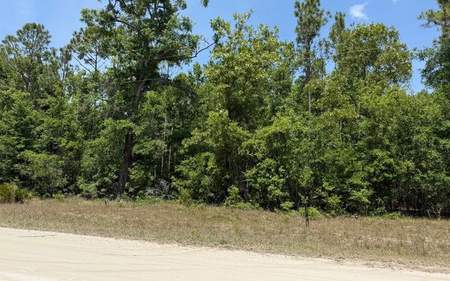 208th Trce, O'Brien, FL 32071