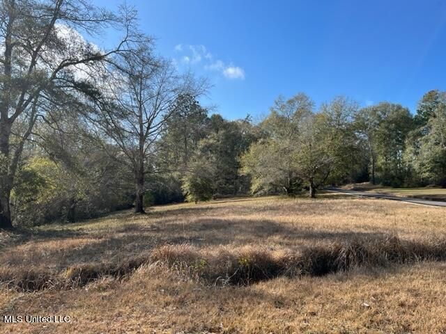 Rolling Woods Rd, Lucedale, MS 39452