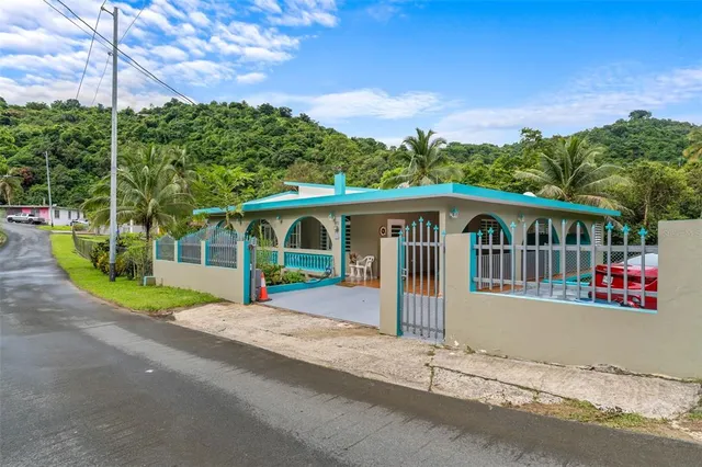 Address Not Disclosed, Canovanas, PR 00729