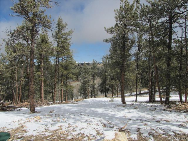 23 Wind Cave Court, Hartsel, CO 80449